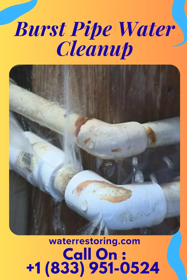 Burst Pipe Water Cleanup in Manasquan, NJ