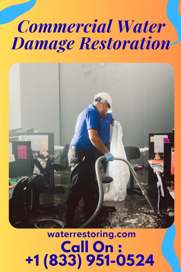 Commercial Water Damage Restoration in Manasquan, NJ