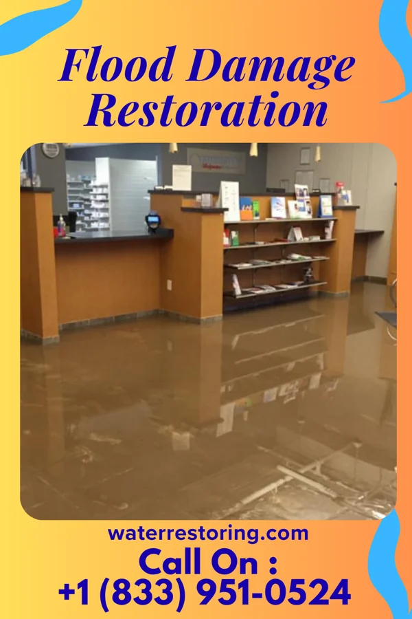 Flood Damage Restoration in Manasquan, NJ