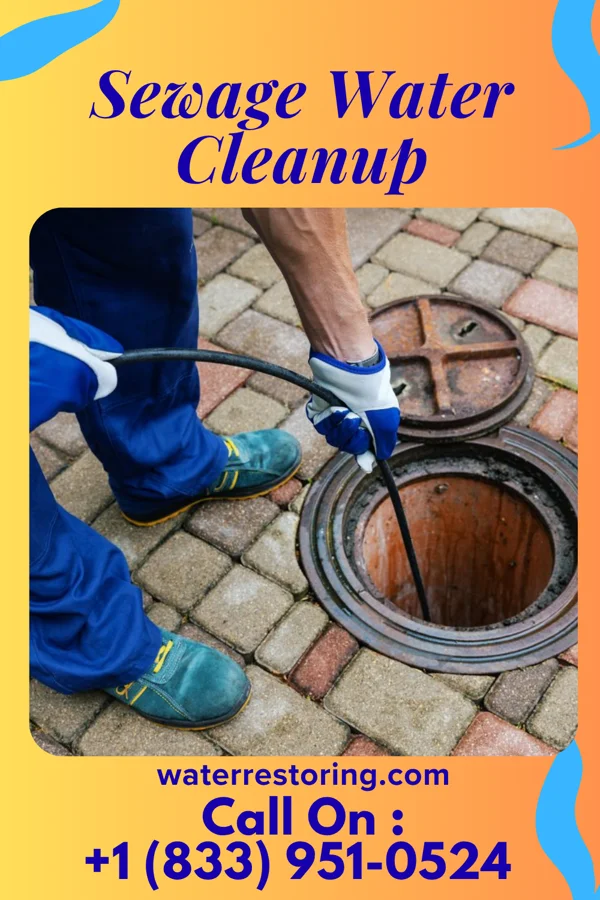 Sewage Water Cleanup in Manasquan, NJ